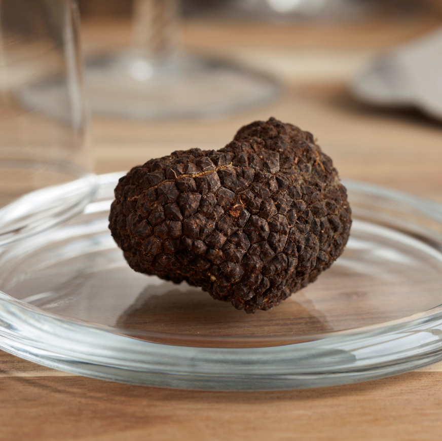 Winter Black Truffle (10g)